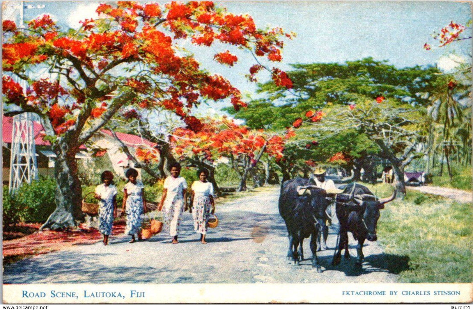 (1 B 31)  Fiji - Posted To Australia - Lautoka (road Scene) - Fidji