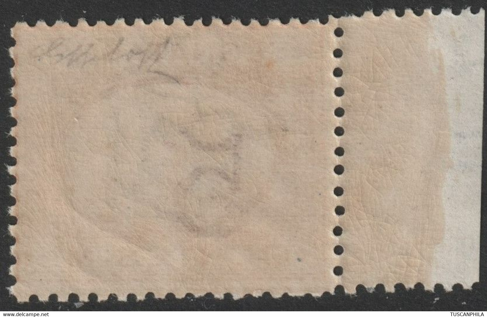 Regno D'Italia 1890 Segnatasse 5 C. Arancio E Carminio Sass. 20ca MNH** BDF Cv 125 - Segnatasse