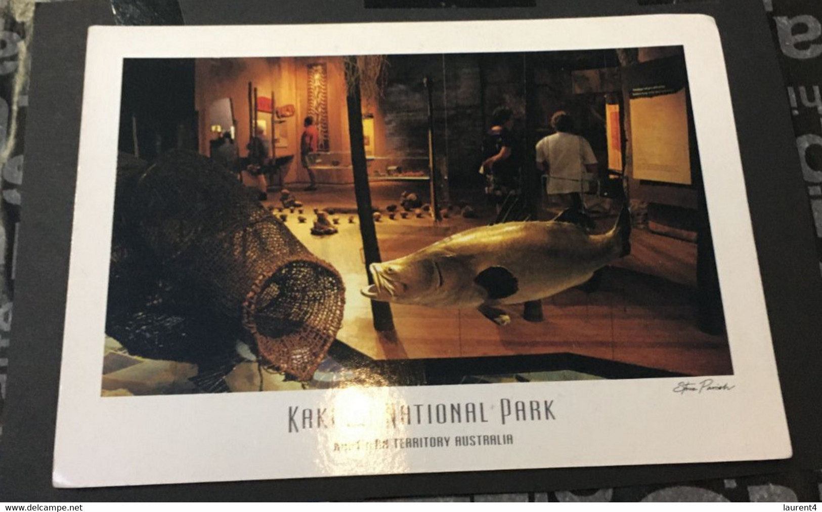 (1 B 31 A)  Australia - WA - Kakadu Atnaional Park (musum Fish) (posted With Space Stamp) - Otros & Sin Clasificación