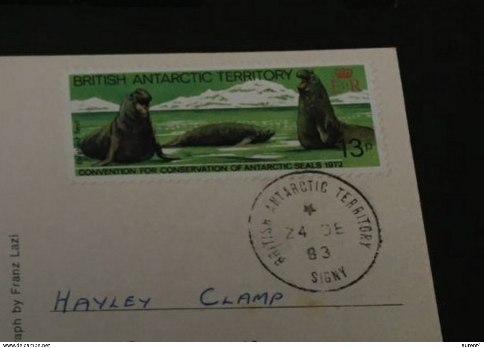 (1 B 31 A)  British Antartcic Terrirory - Posted To Australia 1983 From SIGNY - Crabeater Seal - Gebraucht