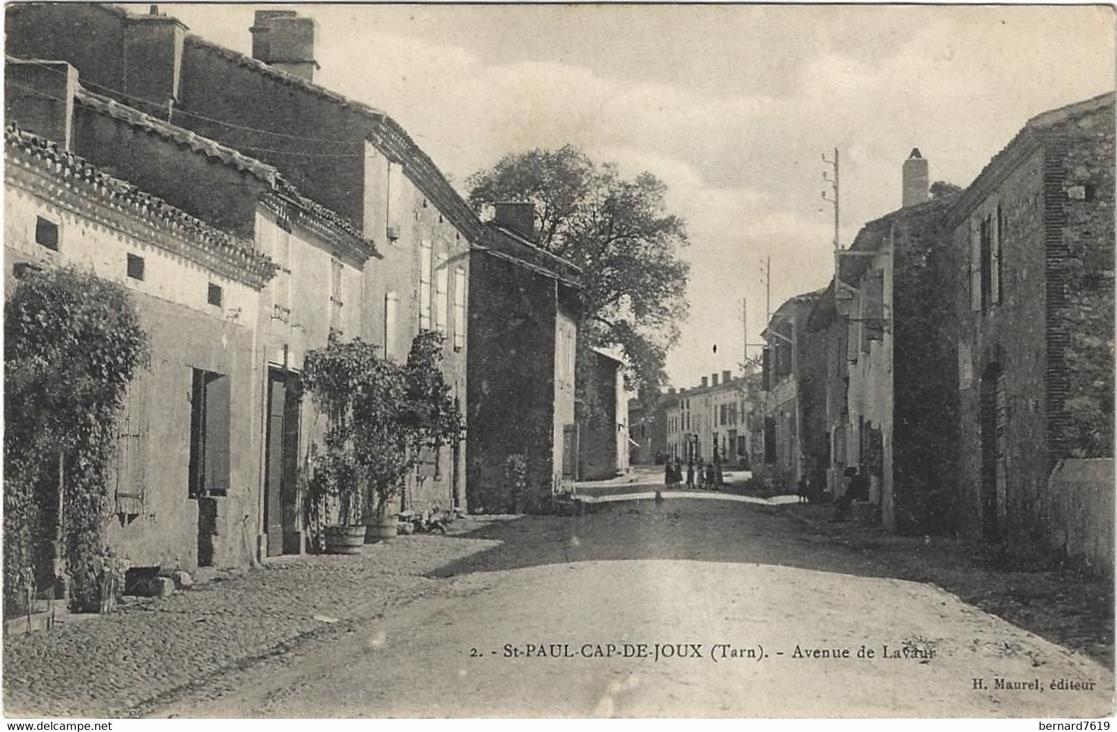 81 Saint  Paul Cap De Joux  - Avenue De Lavaur - Saint Paul Cap De Joux