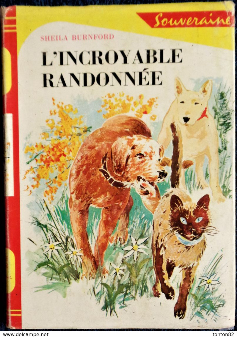 Sheila Burnford - L'incroyable Randonnée - Bibliothèque Rouge Et Or N° 663 - (1959 ) - Bibliothèque Rouge Et Or