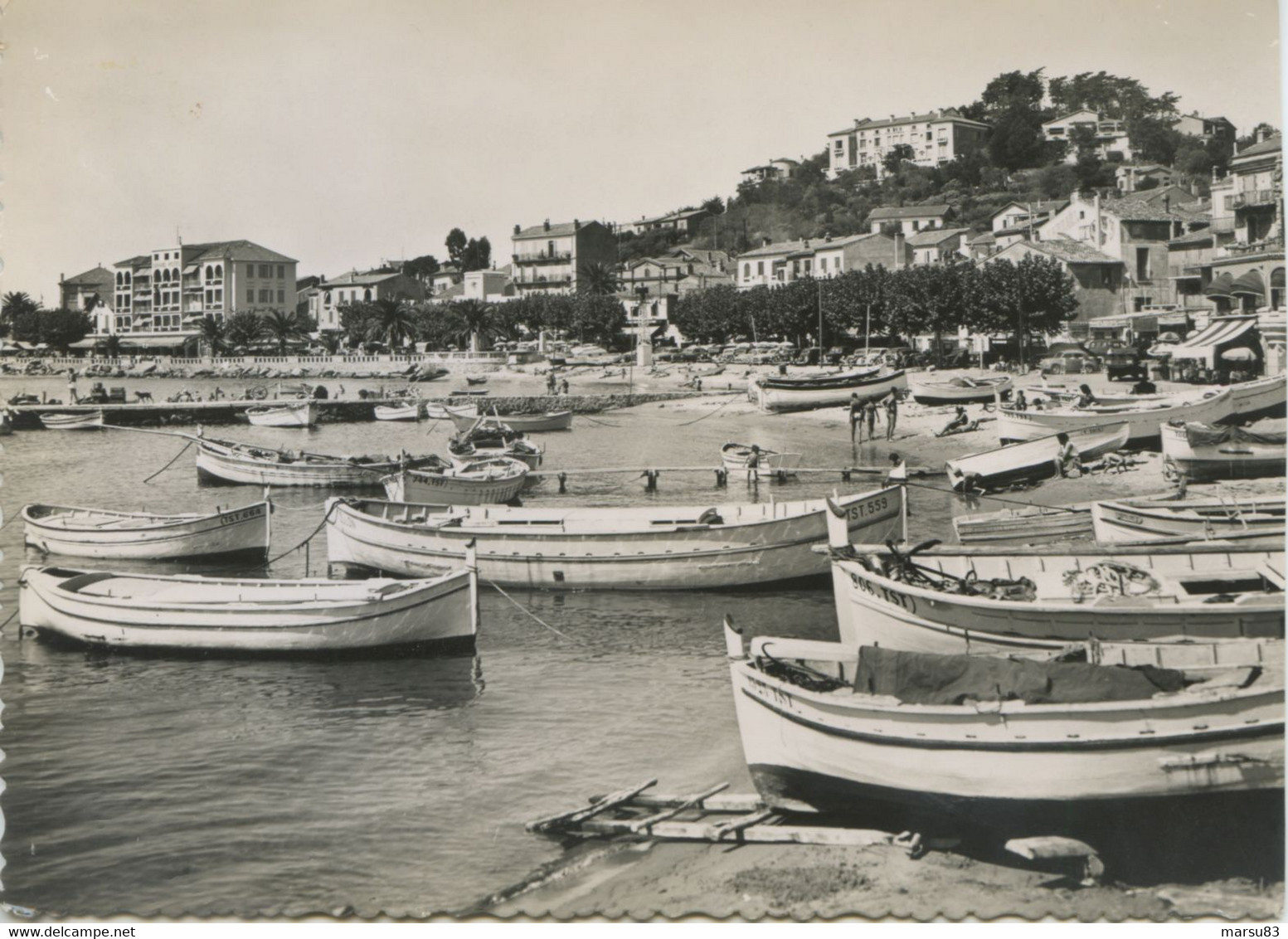 Le Lavandou - Tbé - Belle Carte Dentelée ANIMÉE - Format 10x15cm -  Ed. C.Lemaire N°1270 - Le Lavandou