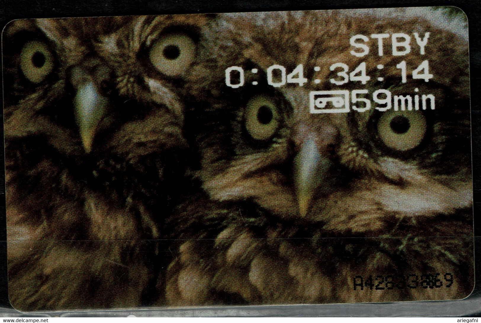 NETHERLANDS 2004 PHONECARD OWLS USED VF!! - Owls