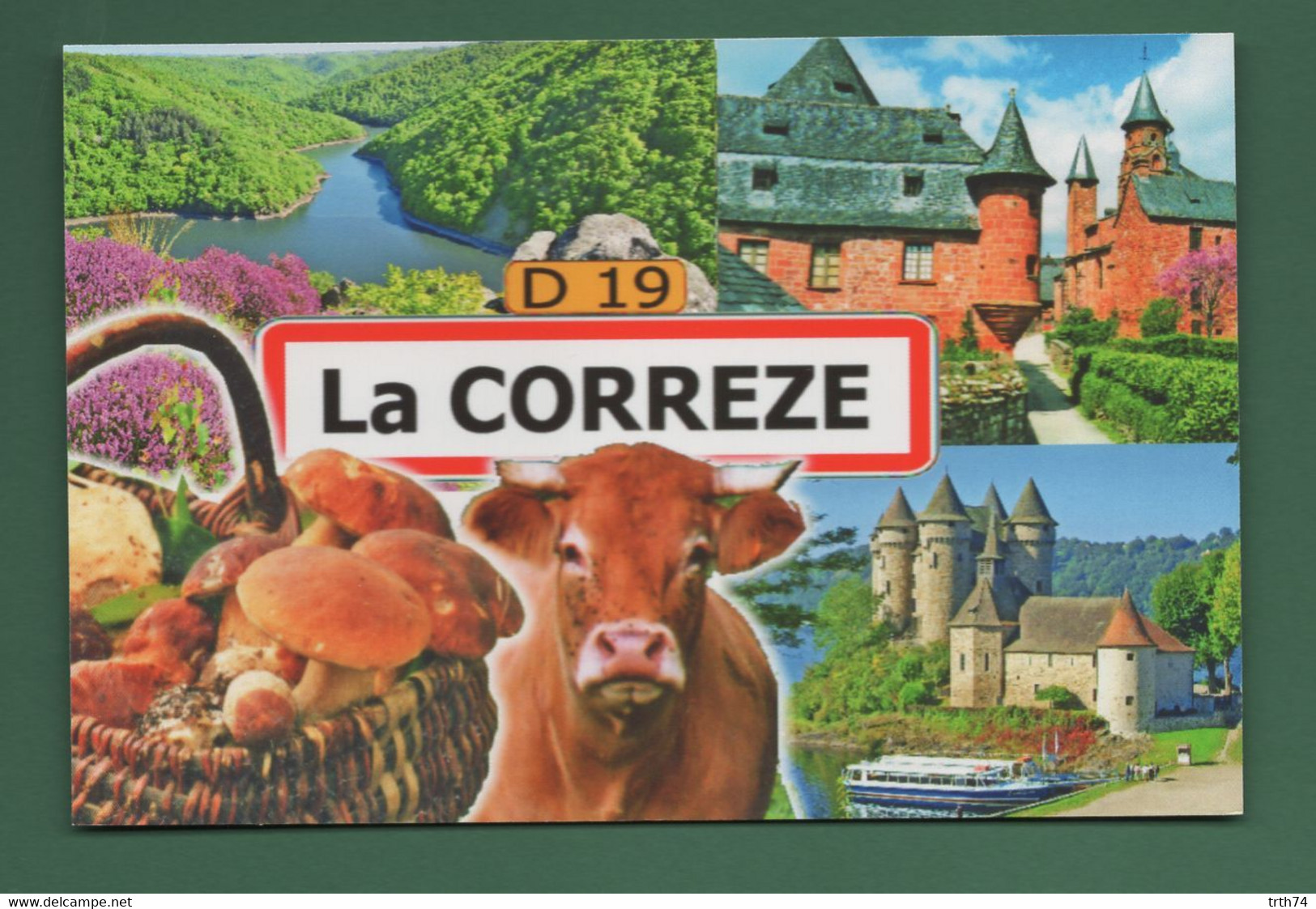 19 La Corrèze ( Cèpes Vaches Collonges La Rouge Multivues Champignons Cèpes, Funghi, Grzyby, Pilze, Hongos, Mushrooms ) - Otros & Sin Clasificación