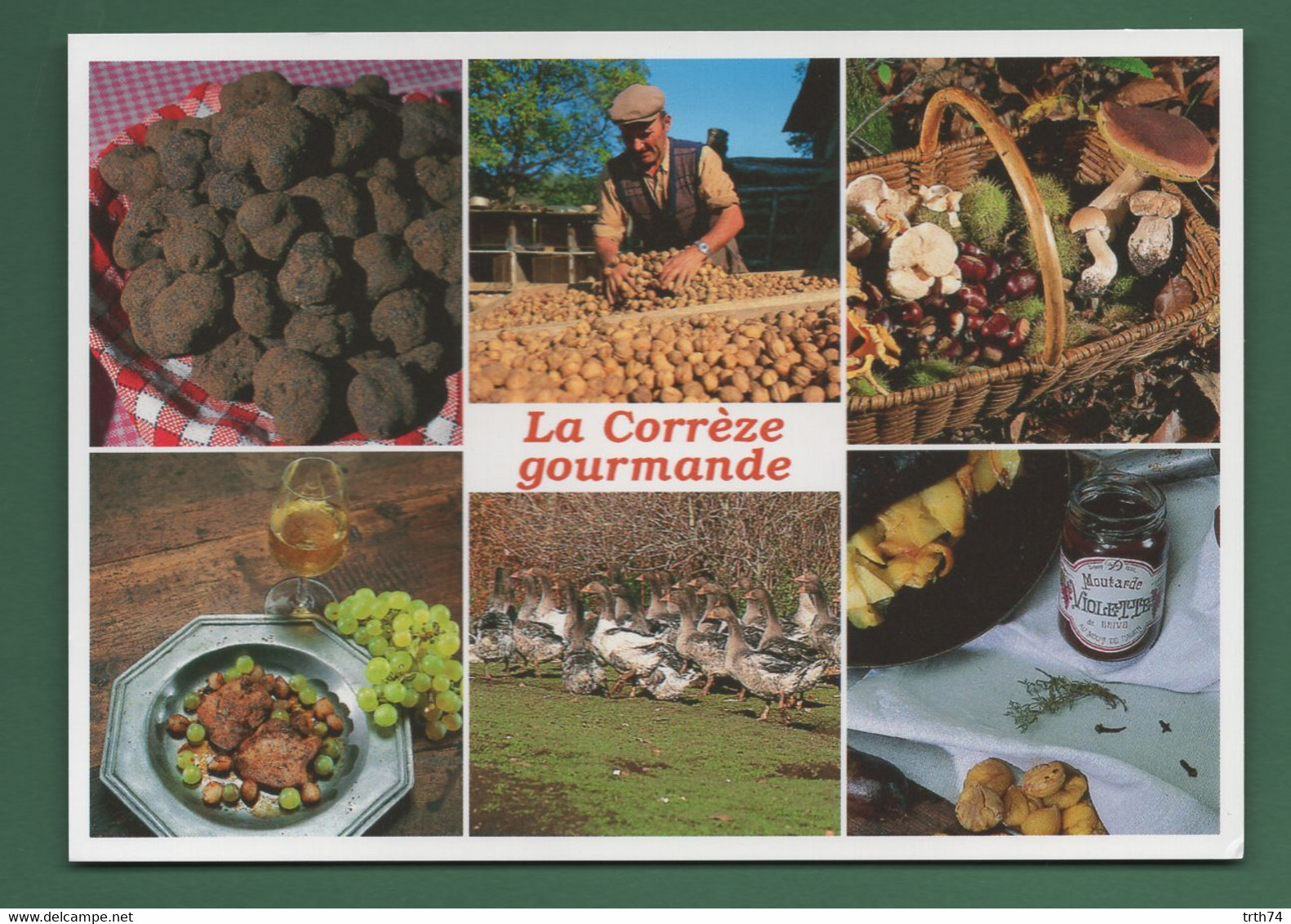 19 La Corrèze Gourmande ( Truffes Cèpes Pieds De Mouton Champignons Funghi, Grzyby, Pilze, Hongos, Mushrooms ) - Otros & Sin Clasificación