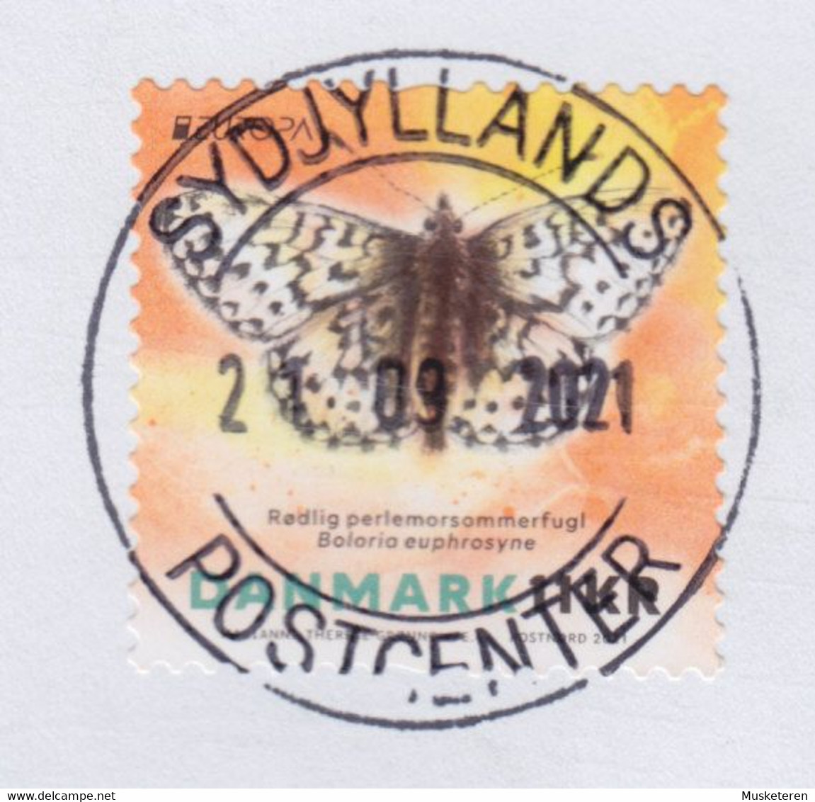 Denmark PRIORITAIRE Label DELUXE Cds. 2021 Cover Brief FREDERIKSHAVN Europa CEPT Butterfly Schmetterling Papillon - Briefe U. Dokumente