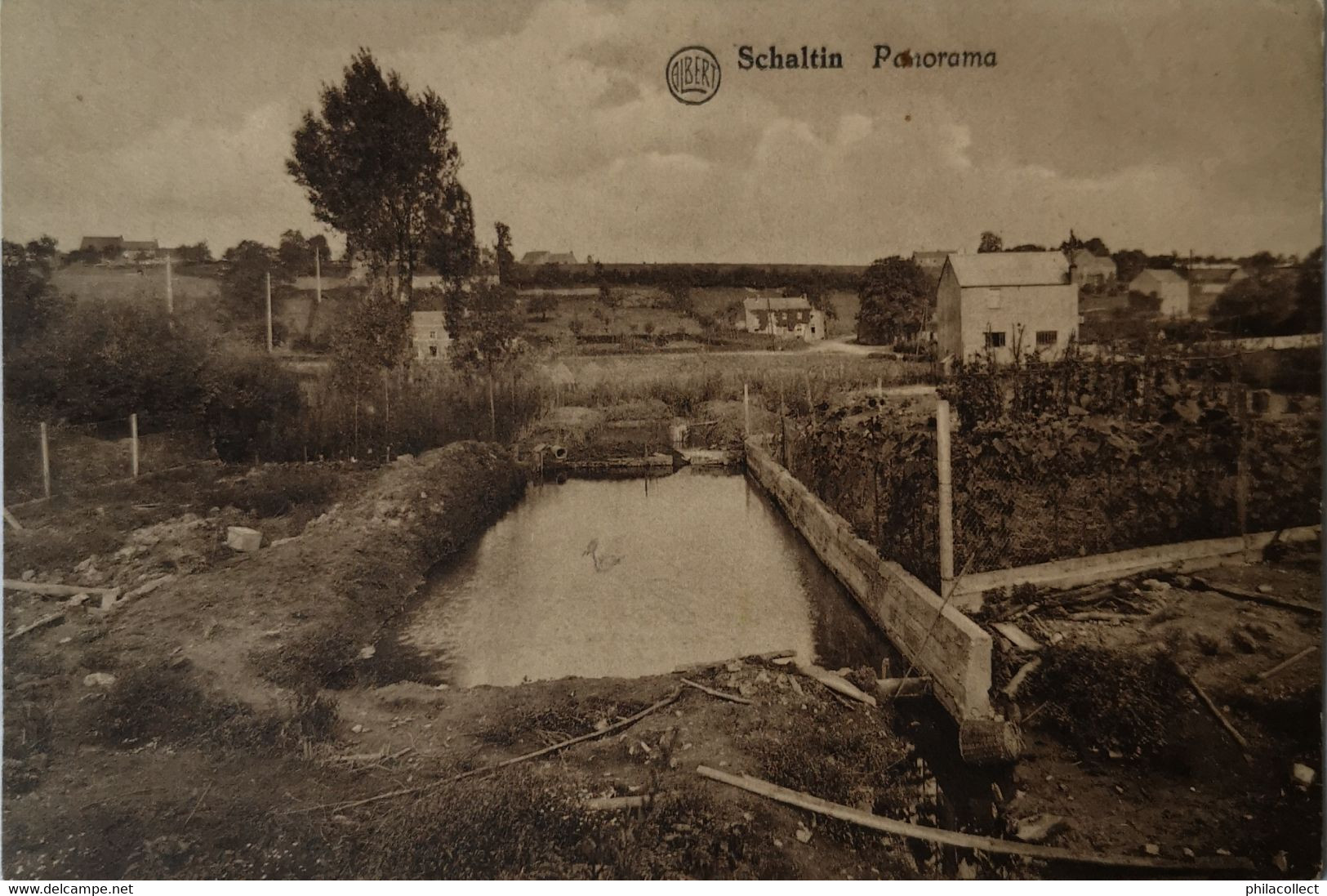 Schaltin (Hamoir) Panorama 194? Ed.Albert - Hamois