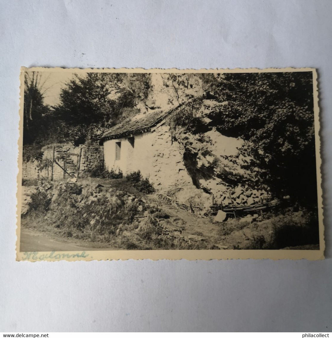 Malone (Namur) Carte Photo - FOTOKAART 1953 - Altri & Non Classificati