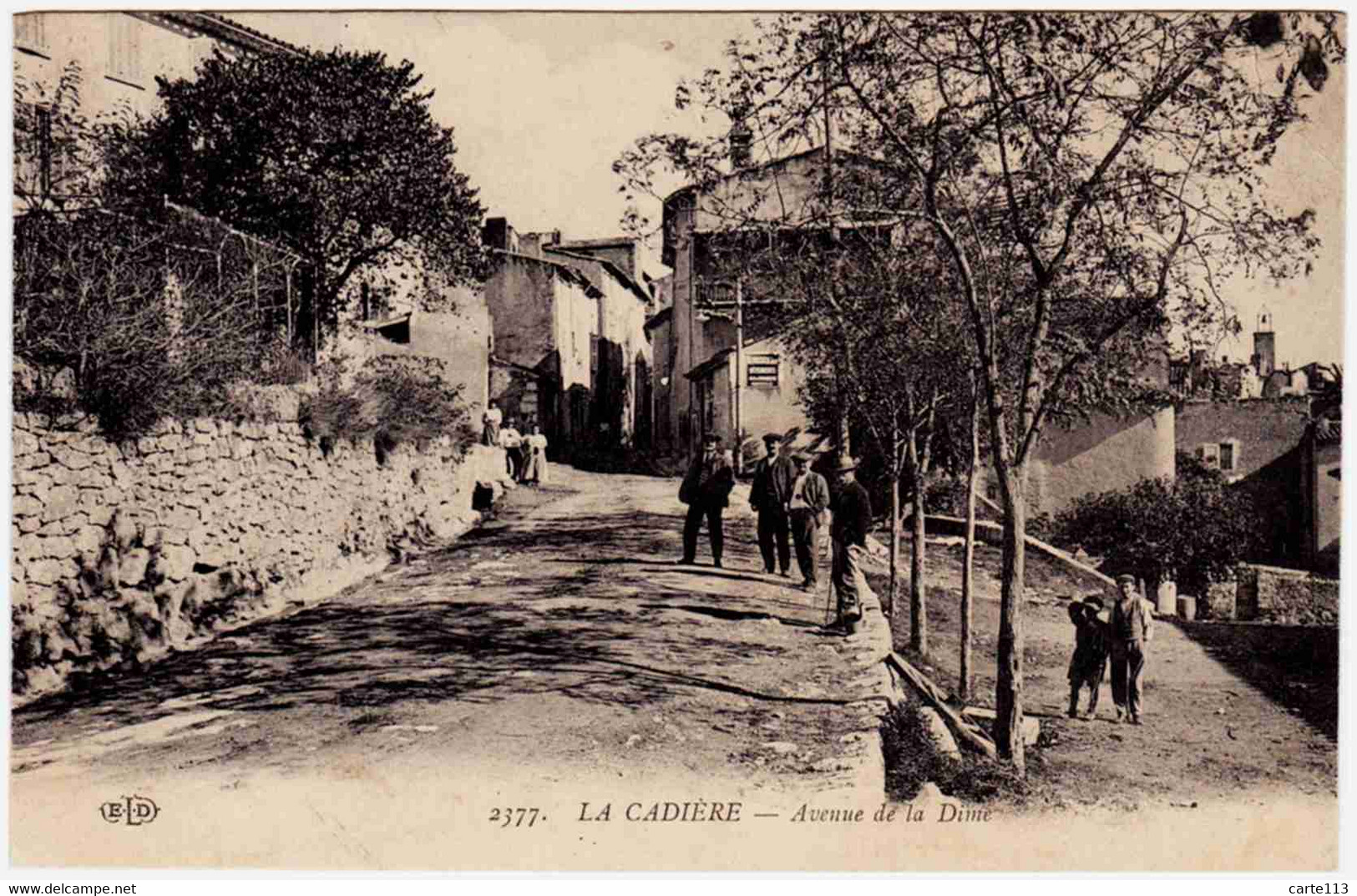 83 - B24198CPA - LA CADIERE - Avenue De La Dime - Très Bon état - VAR - Altri & Non Classificati