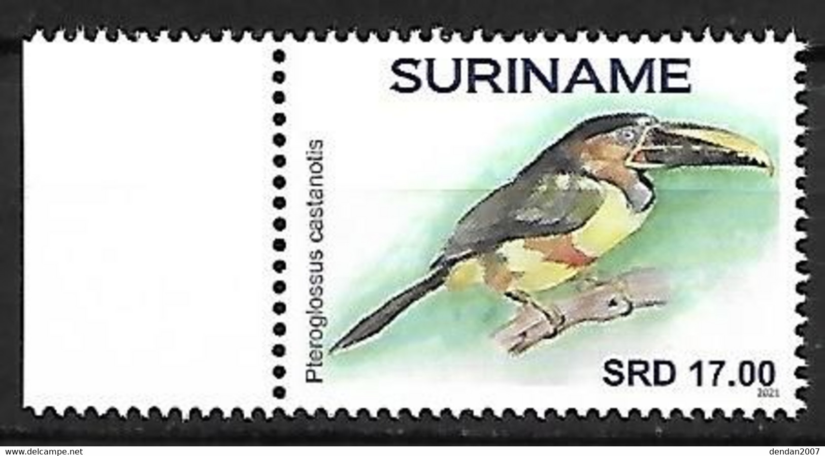 Suriname (Surinam) - MNH ** 2021 :    Chestnut-eared Aracari  -  Pteroglossus Castanotis - Other & Unclassified