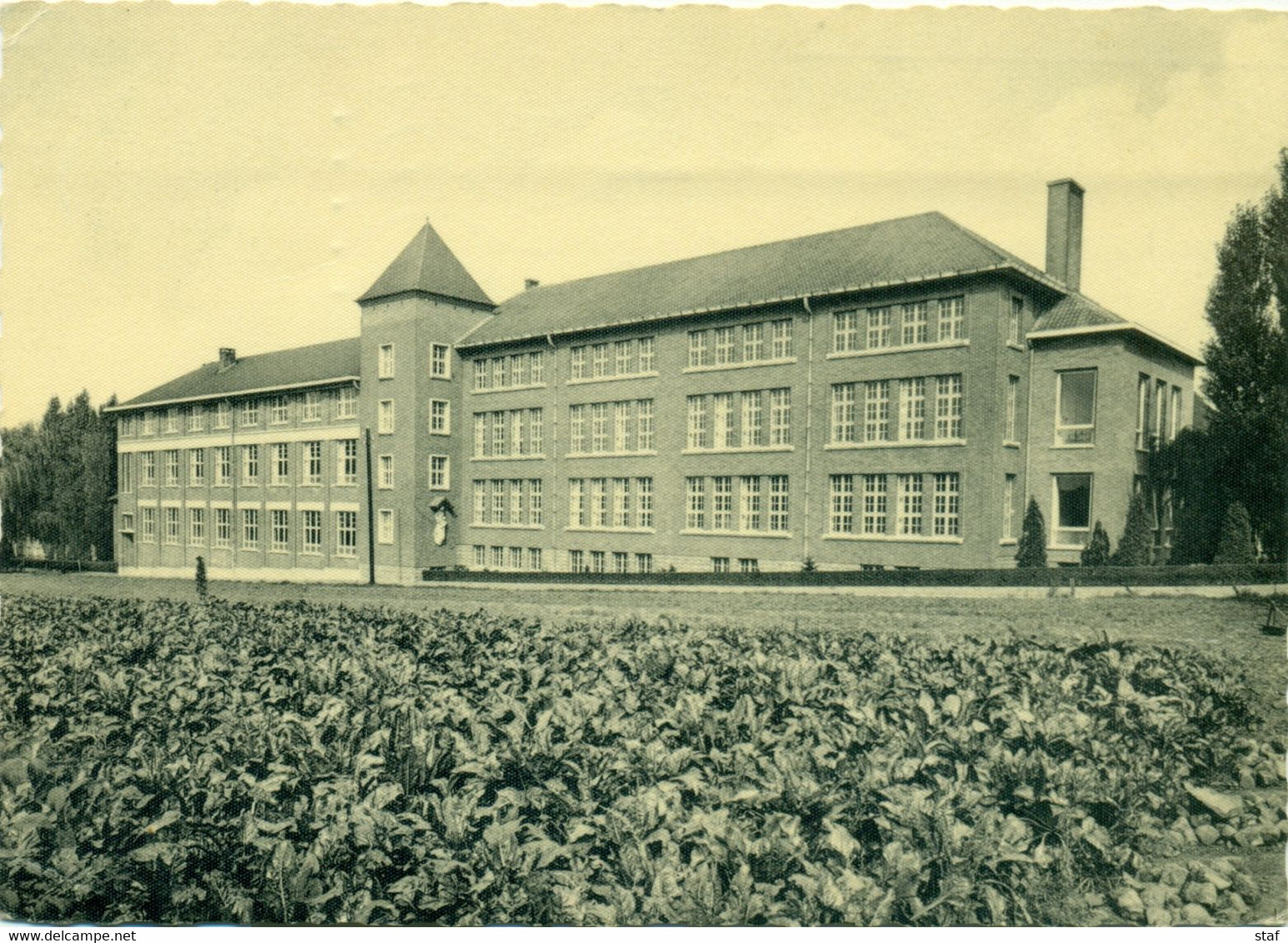 Medisch Pedagogisch Instituut St. Franciscus Strijtem - Borchtlombeek : Zijgevel Bouw 1935 En 1950 - Roosdaal