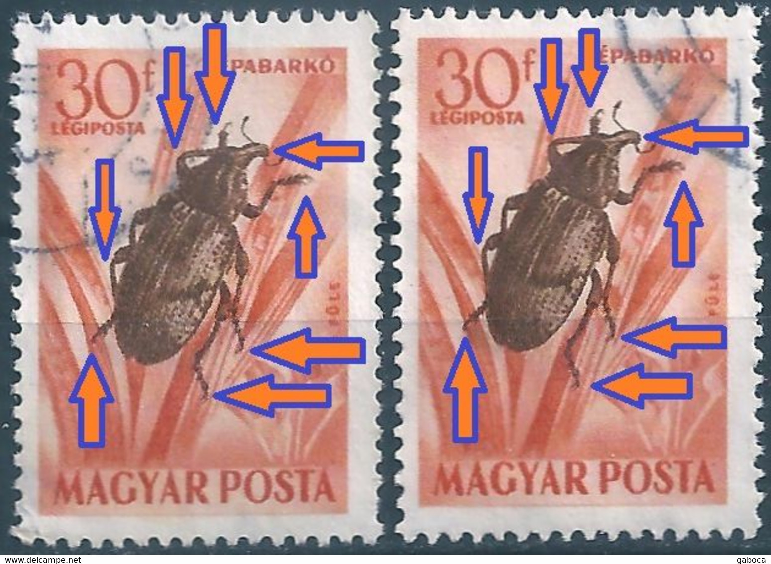 C2381b Hungary 1954 Fauna Bug Beetle Used ERROR - Variedades Y Curiosidades
