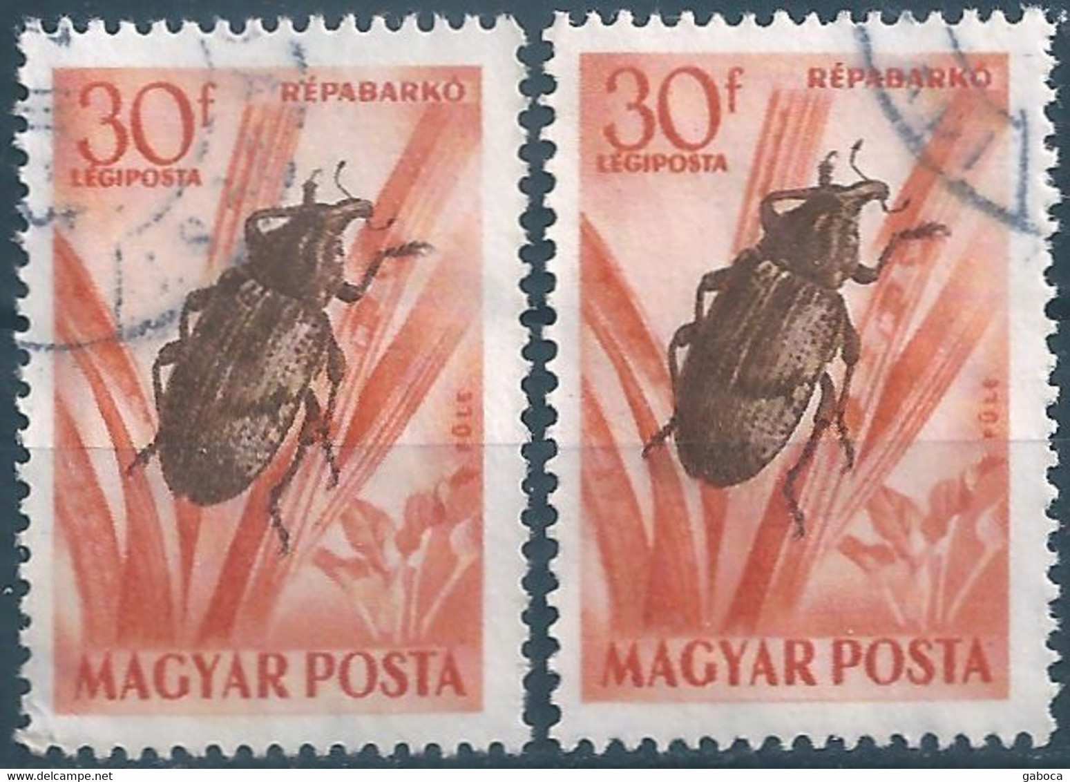 C2381b Hungary 1954 Fauna Bug Beetle Used ERROR - Variedades Y Curiosidades