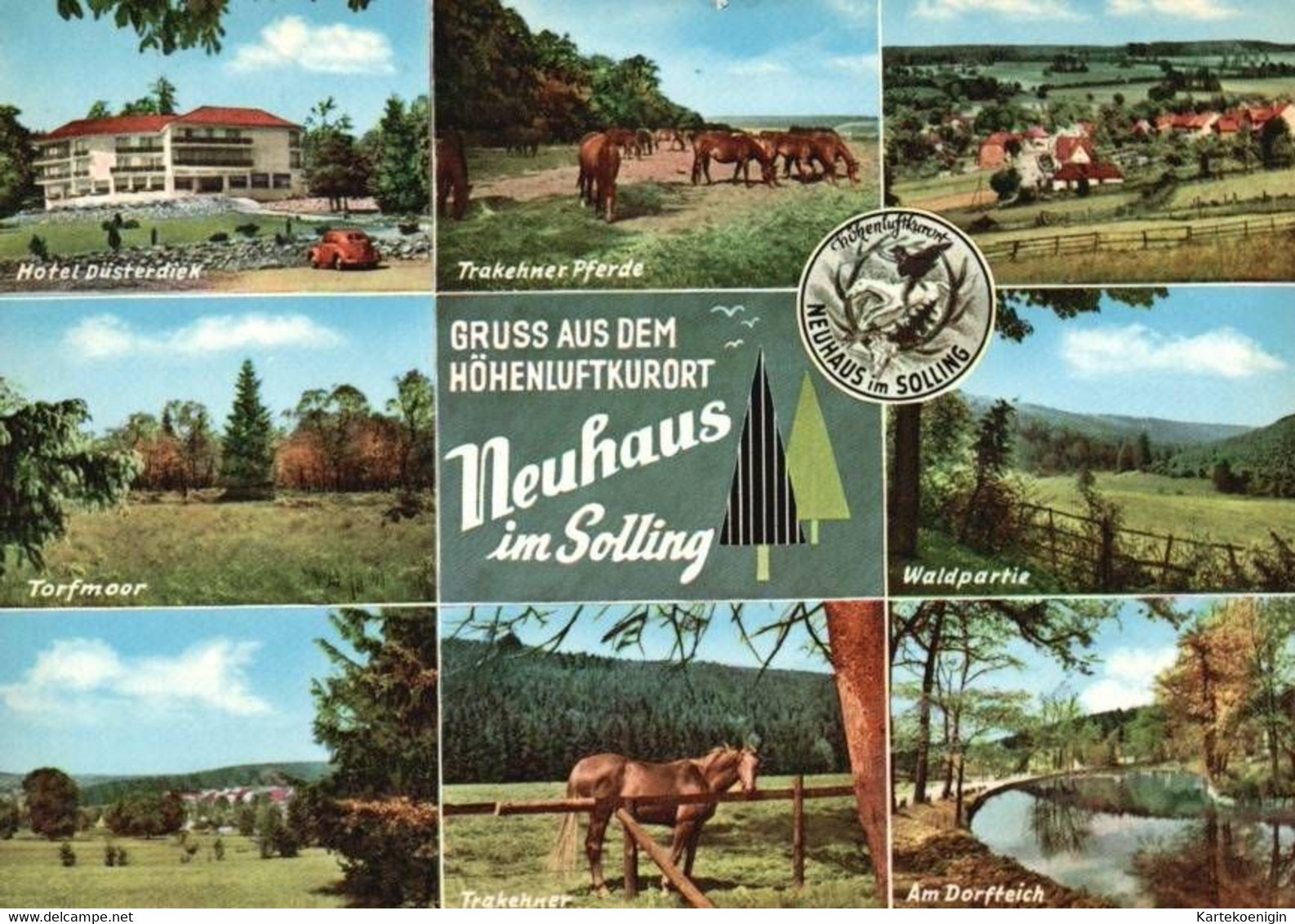 AK -  Neuhaus Im Solling , Dorfteich , Waldpartie - Holzminden