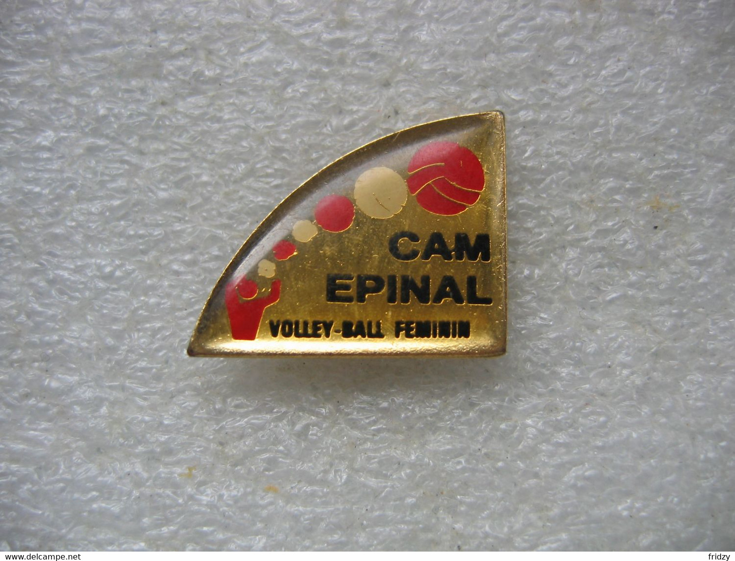 Pin's  CAM Volley Epinal, équipe Féminine (Dépt 88) - Volleyball