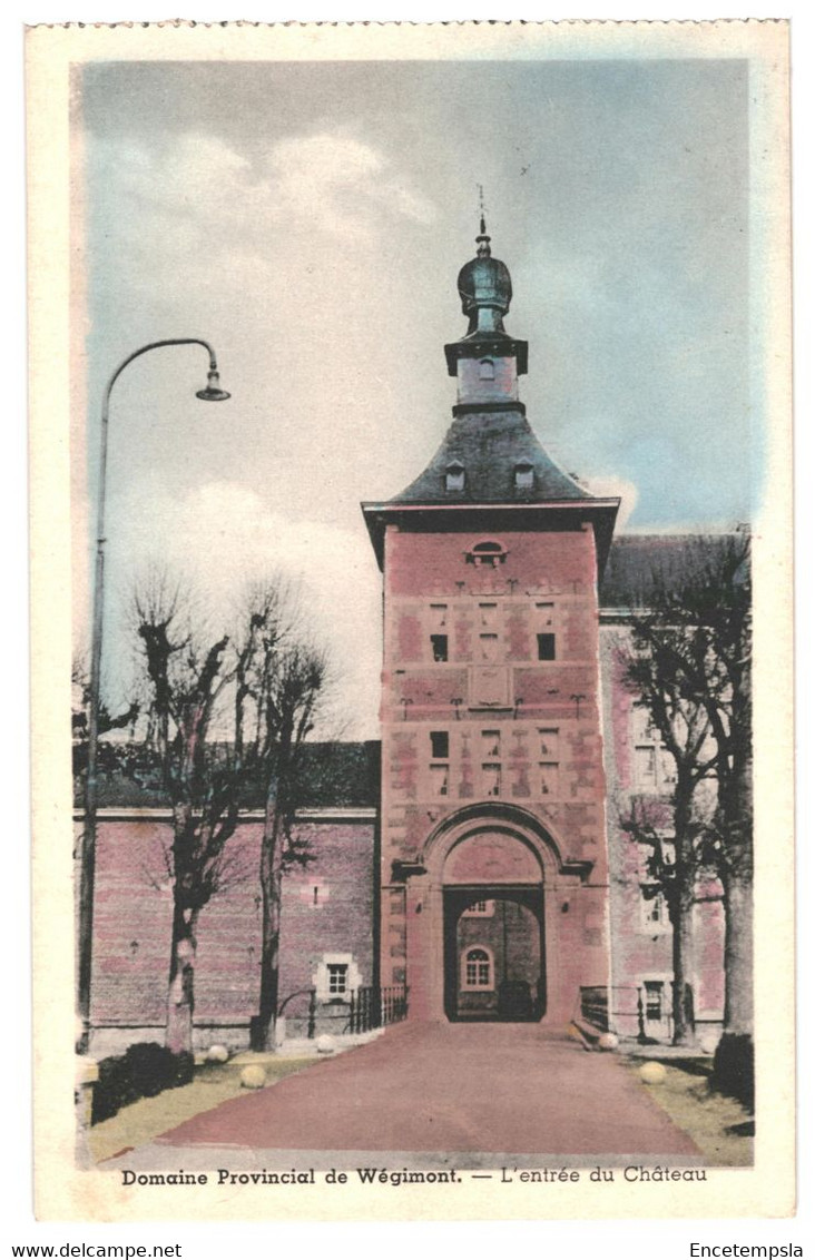 CPA Carte Postale Belgique-Wégimont Domaine Provincial- Entrée Du Château 1950 VM40578 - Soumagne