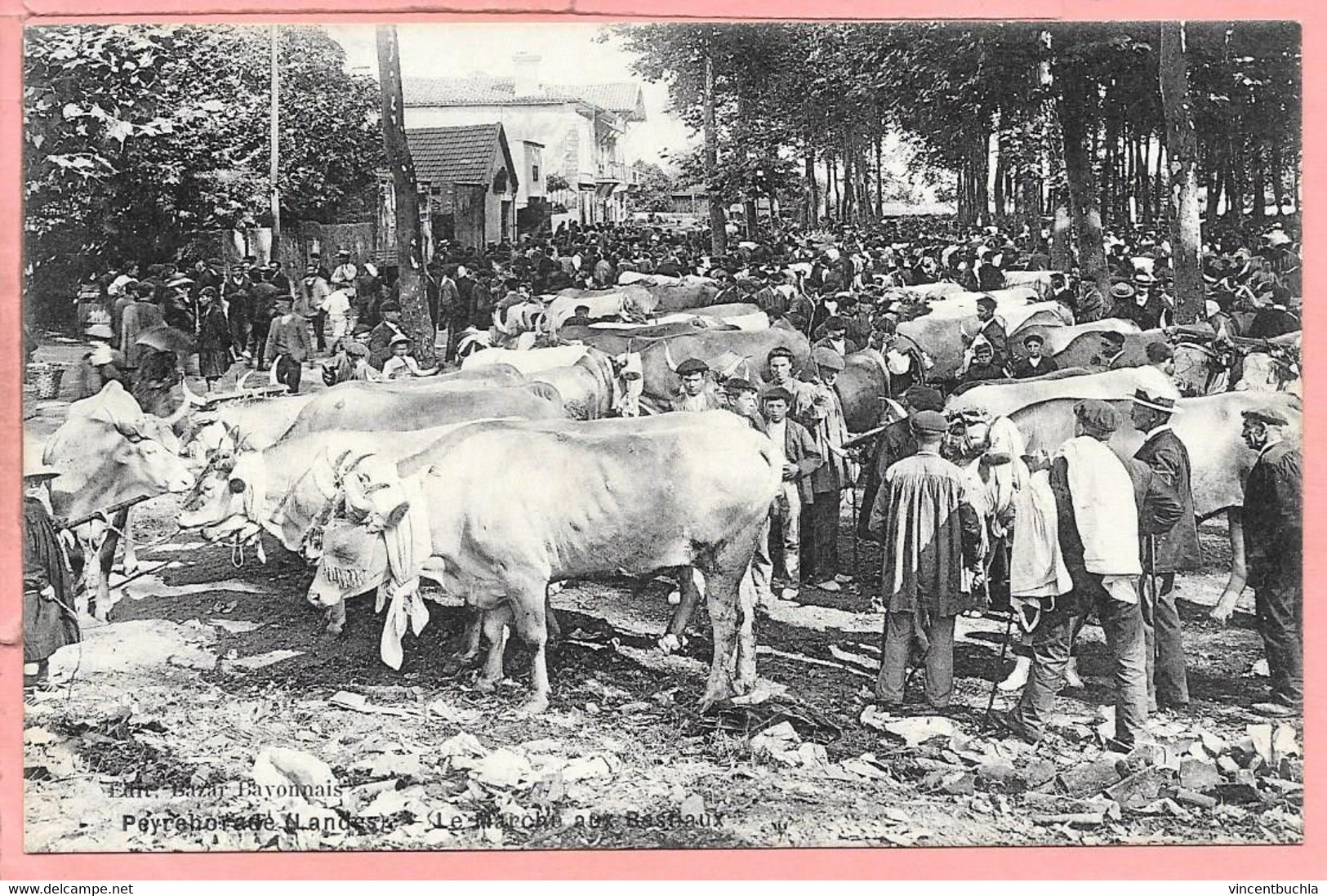 Peyrehorade - Le Marché Aux Bestiaux Parfait état - Peyrehorade