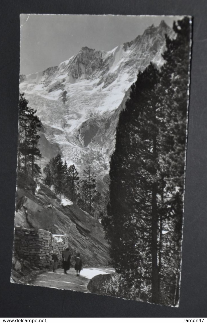 Saas-Fee - Gebirgslandschaft Am Weg N. Almagel, Täschhorn U. Dom - Täsch