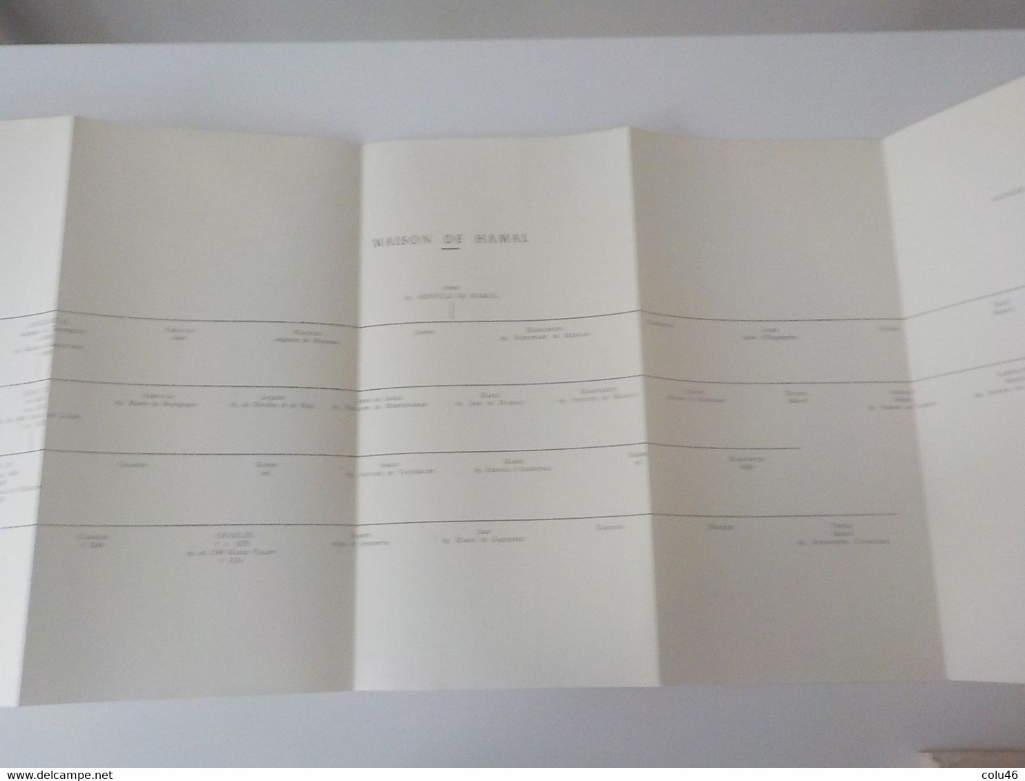 1959 Courcelles livre Les Seigneurs de Trazegnies au Moyen-Age + arbres généalogiques Curé Mont-Sainte Geneviève