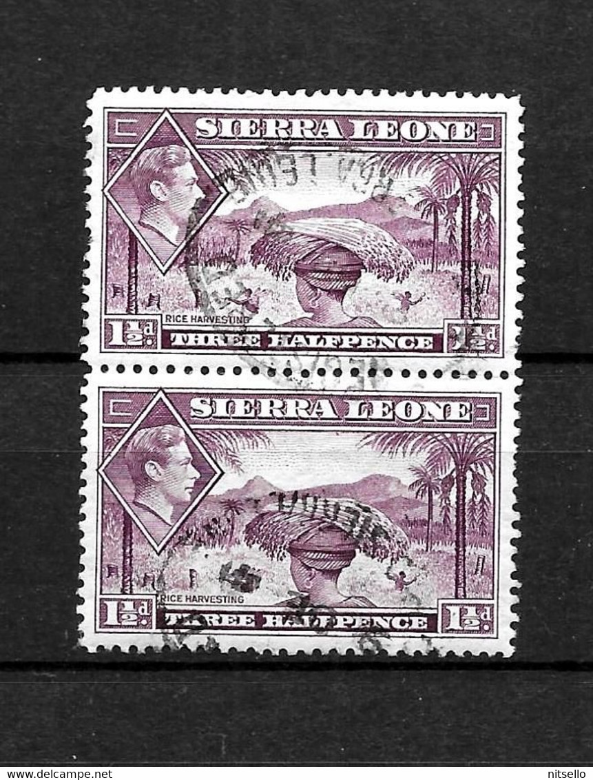 LOTE 2219A /// COLONIAS INGLESAS - SIERRA LEONA - ¡¡¡ OFERTA - LIQUIDATION - JE LIQUIDE !!! - Sierra Leone (...-1960)