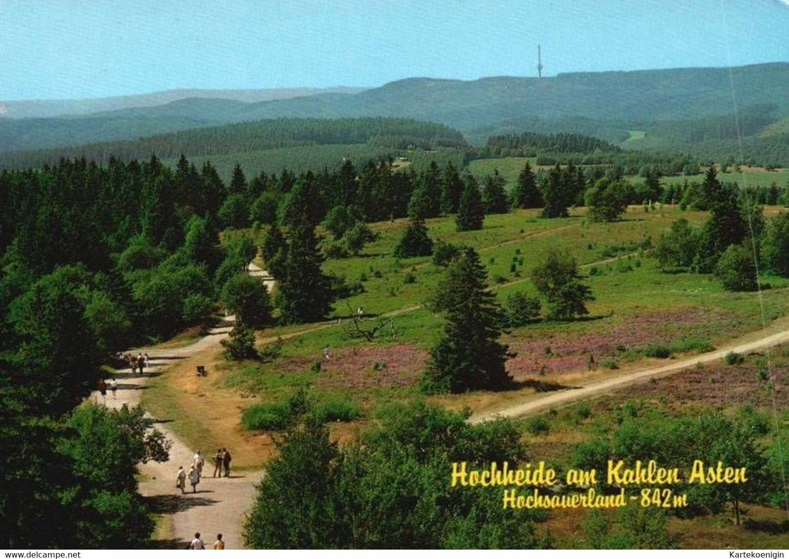 AK - Winterberg , Heilklimatischer Kurort Und Wintersportplatz - Winterberg