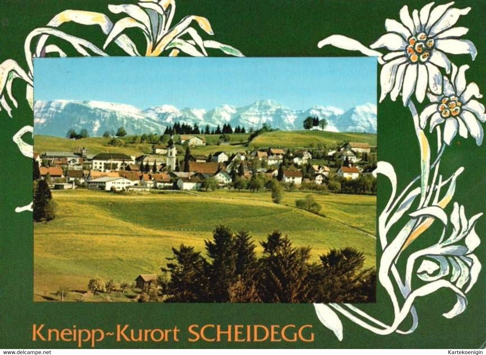 AK - Scheidegg , Kneipp Kurort - Schwabach