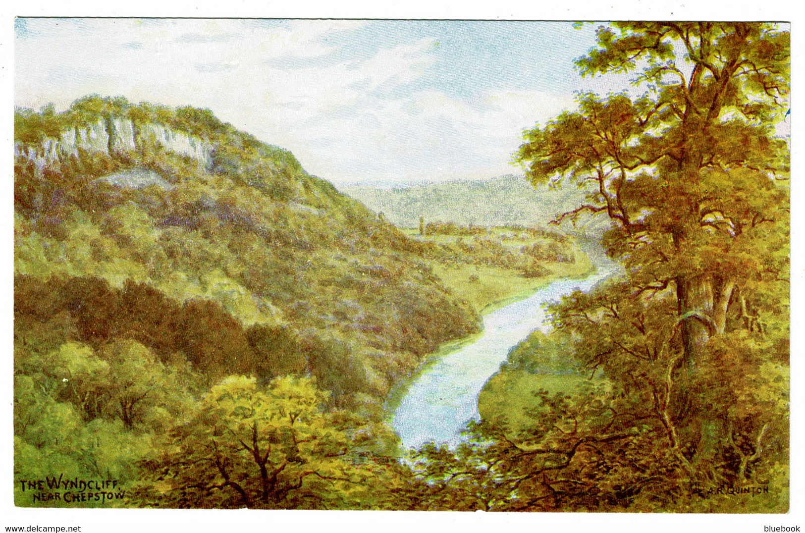 Ref 1497 - J. Salmon ARQ A.R. Quinton Postcard - The Wyndcliff Nr Chepstow - Monmouth Wales - Monmouthshire