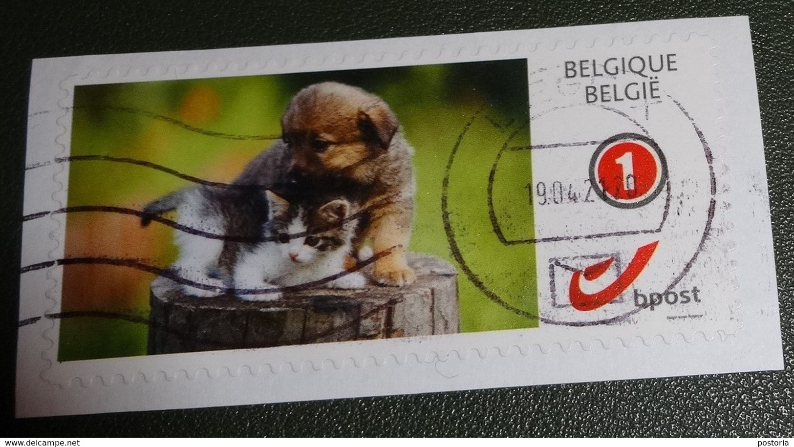 België - Michel - 4229 D  - 2019 - Gebruikt - Onafgeweekt - Used On Paper  - Hondjes En Katjes - Hond - Kat - Poes - Used Stamps