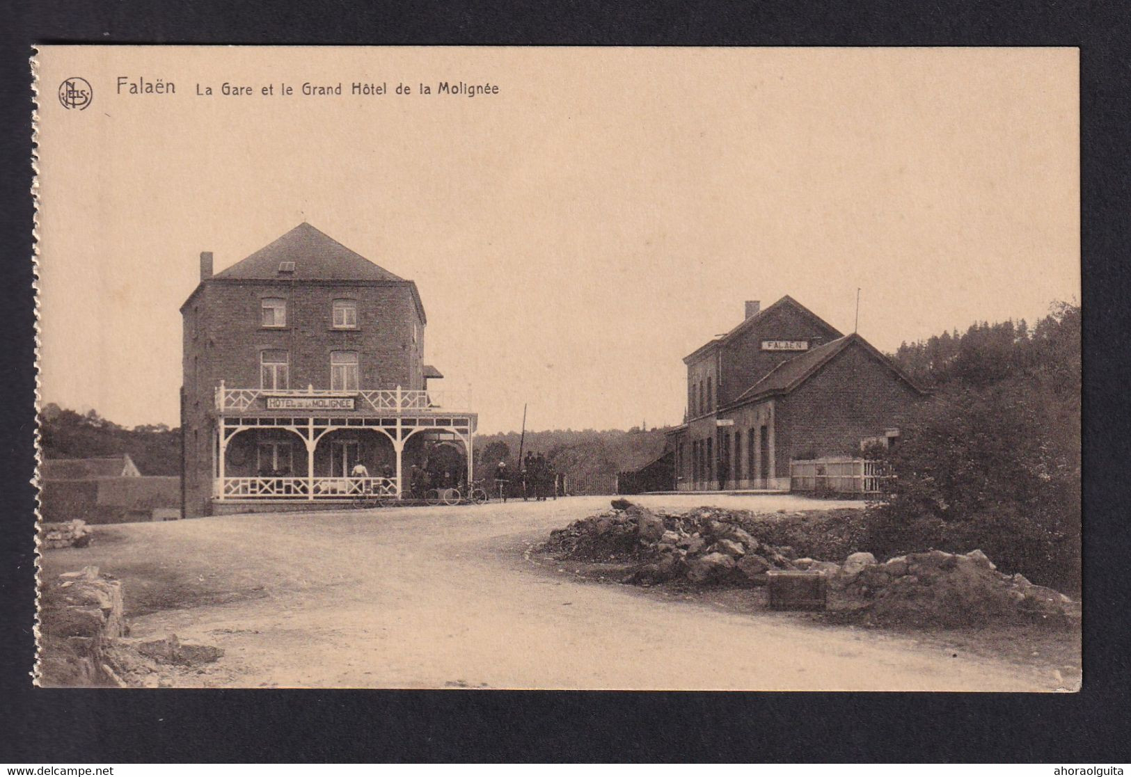 DDAA 412 - Carte-Vue De FALAEN - La Gare Et Le Grand Hotel De La MOLIGNEE - Onhaye