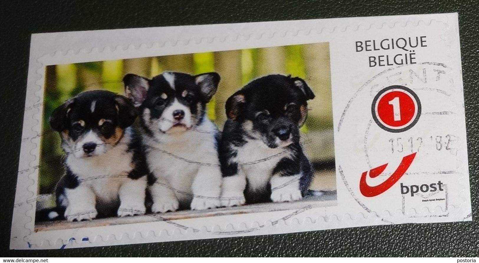 België - Michel - Xxxx  - 2017 - Gebruikt - Onafgeweekt - Used On Paper  - Puppies - Hond - Usados