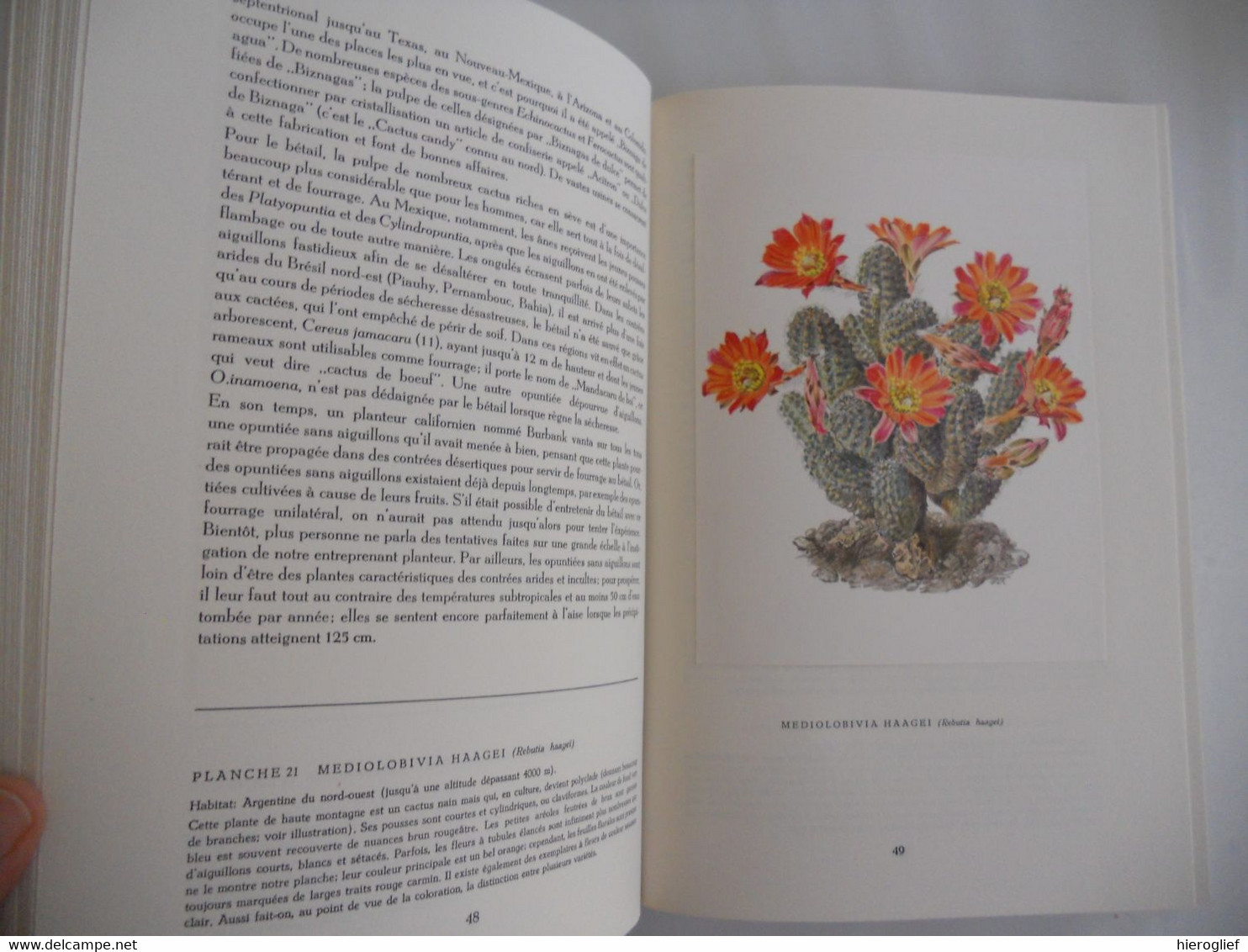 Artis Album Les Cactus + 60 Images Complèt édition Française 1955 Cactées Fleurs Utilité Aiguillons Fruits Semancesz - Artis Historia