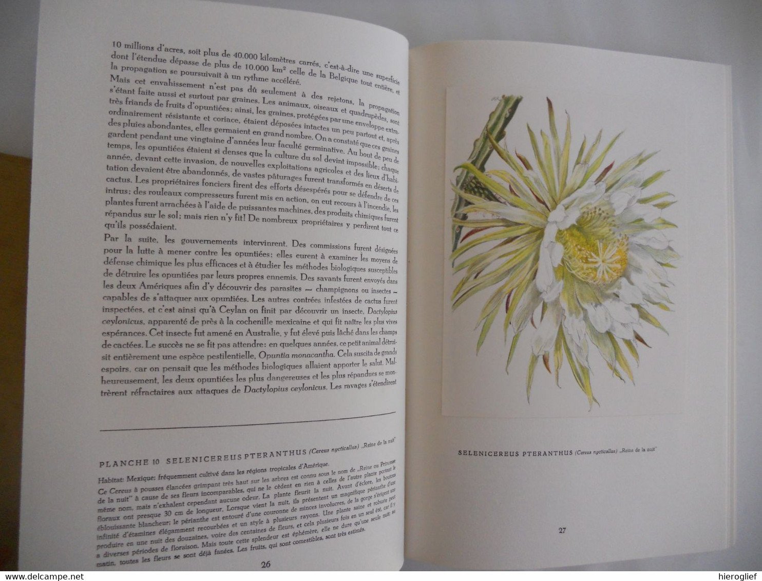 Artis album Les Cactus + 60 images complèt édition française 1955 cactées fleurs utilité aiguillons fruits semancesz