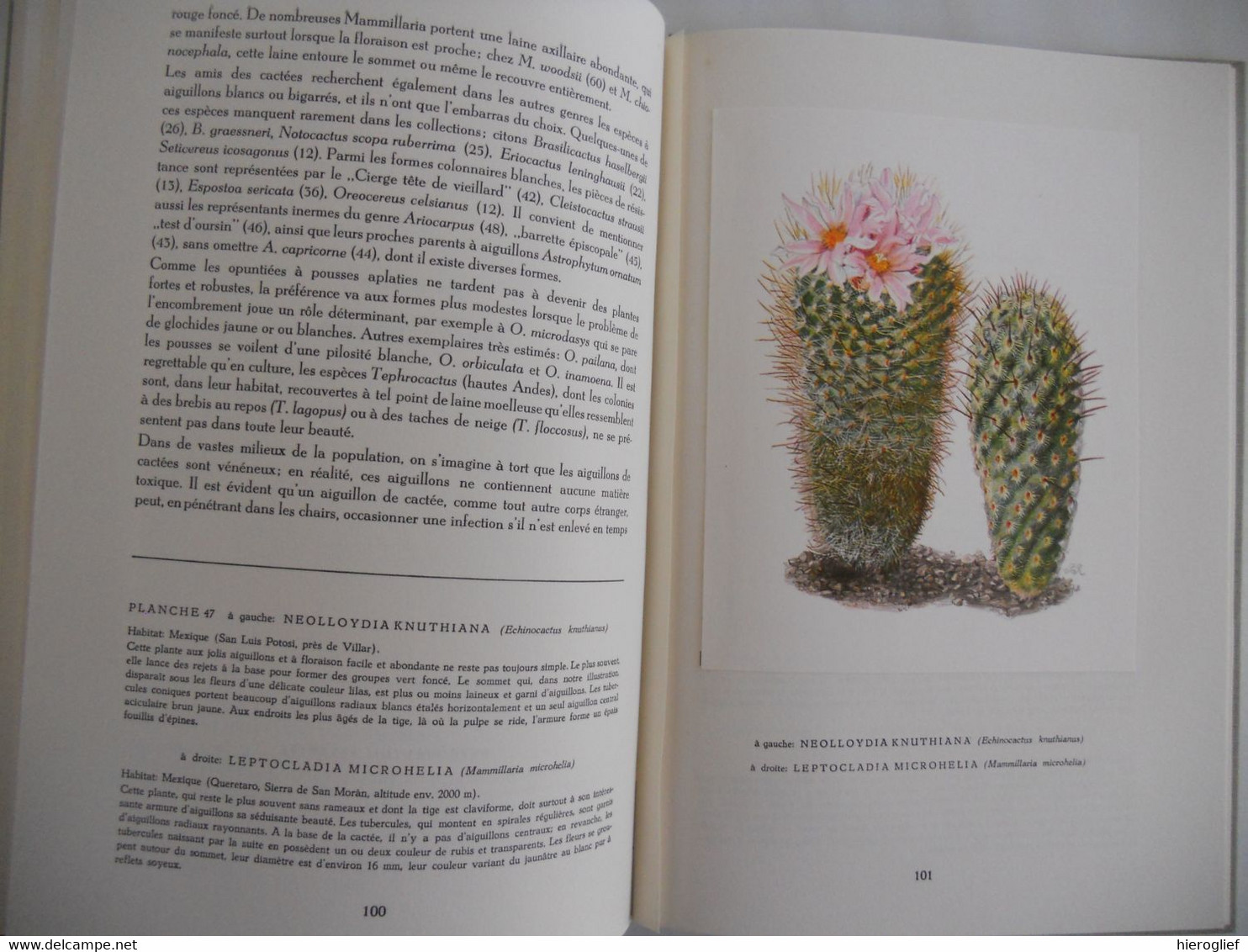 Artis album Les Cactus + 60 images complèt édition française 1955 cactées fleurs utilité aiguillons fruits semancesz