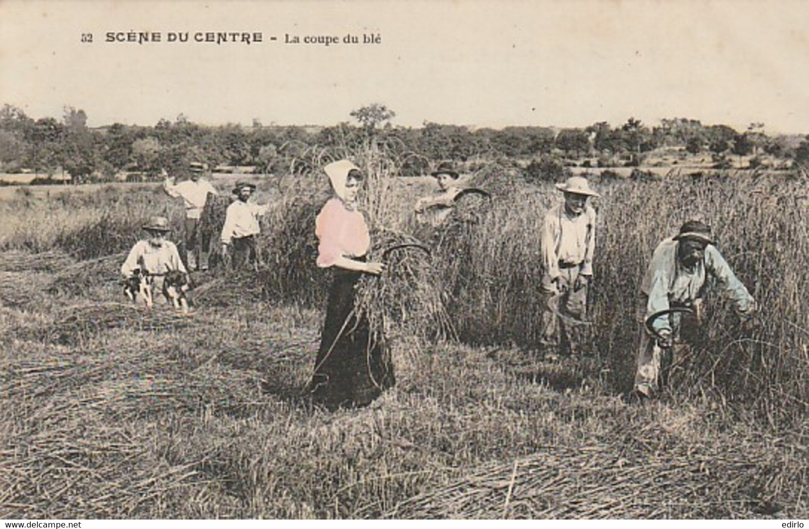 ***  AGRICULTURE *** SCENES DU CENTRE  La Coupe Du Blé - TTBE - Cultivation