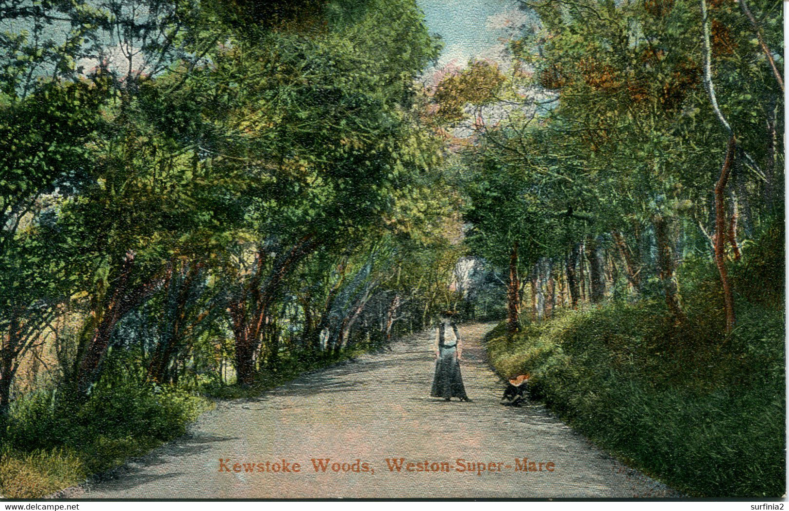 AVON - KEWSTOKE WOODS WSM  Av459 - Weston-Super-Mare