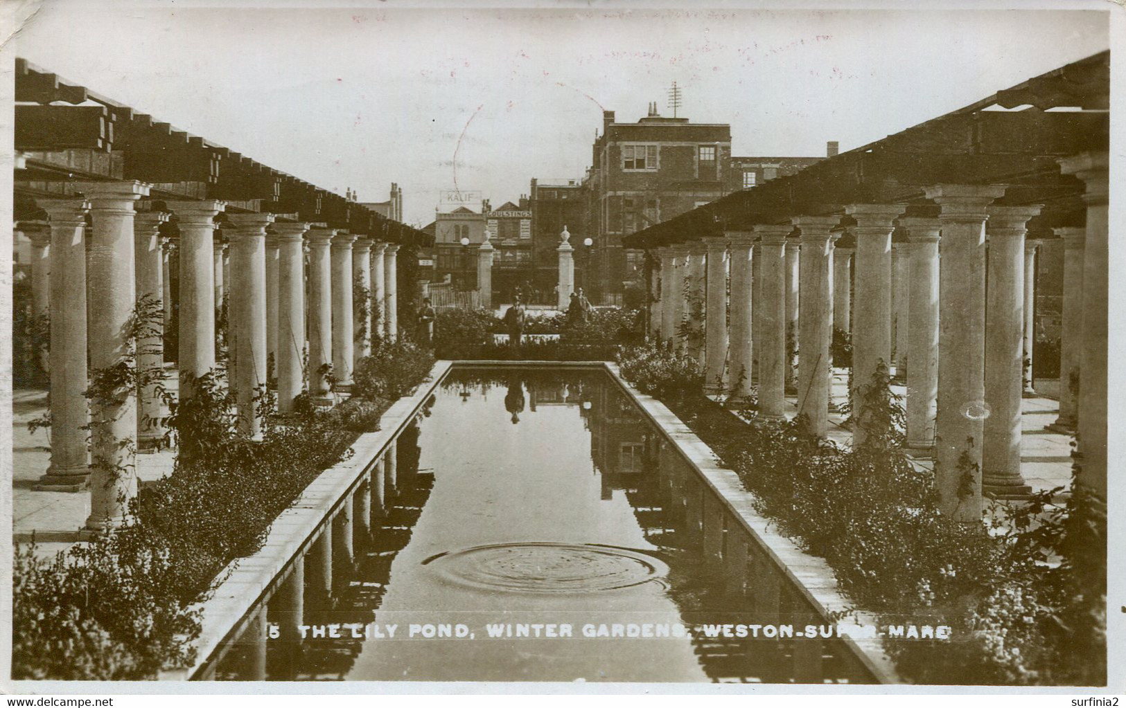 AVON - WESTON SUPER MARE - THE LILY POND, WINTER GARDENS RP Av612 - Weston-Super-Mare