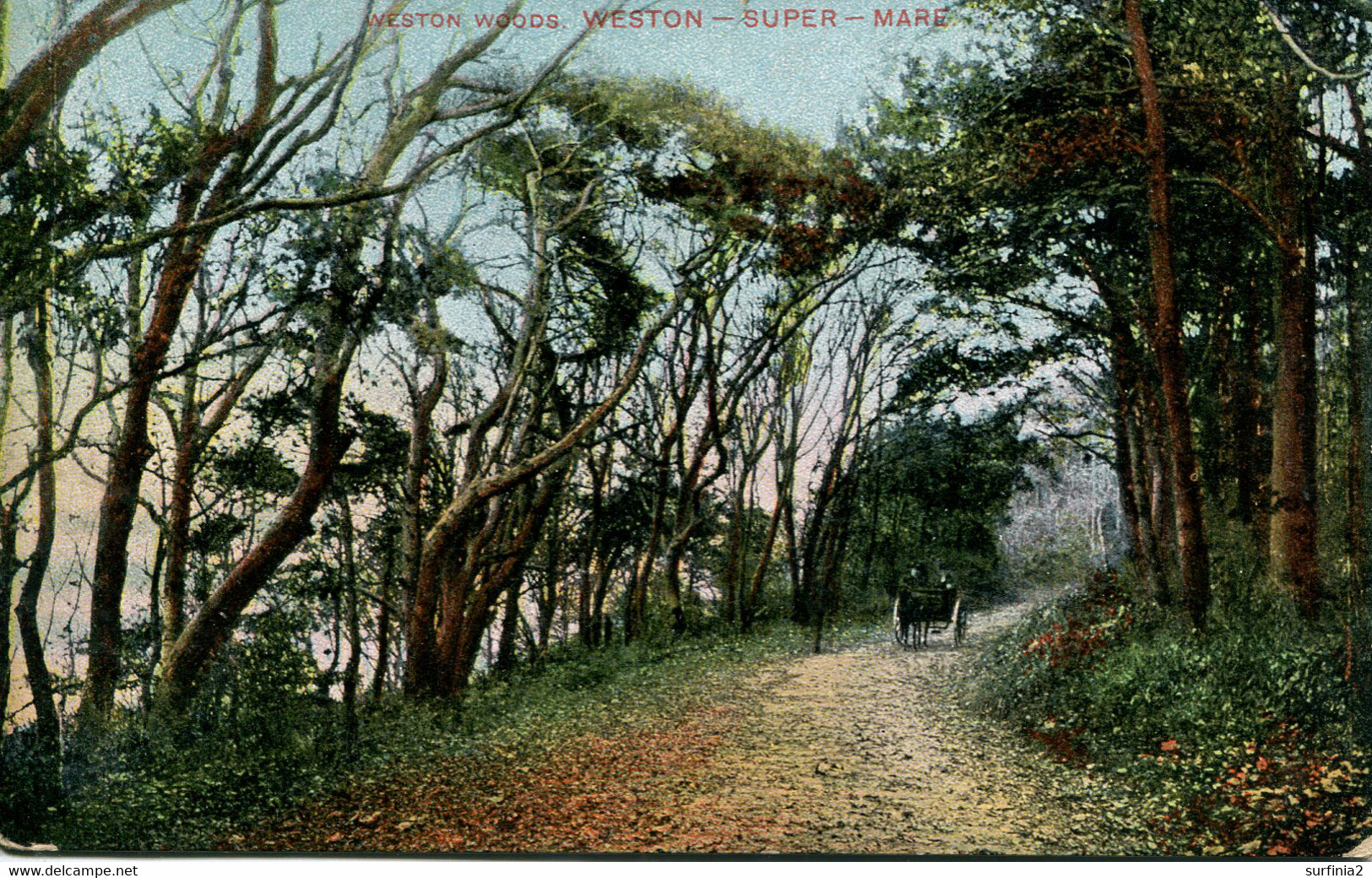 AVON - WESTON WOODS WSM  Av460 - Weston-Super-Mare