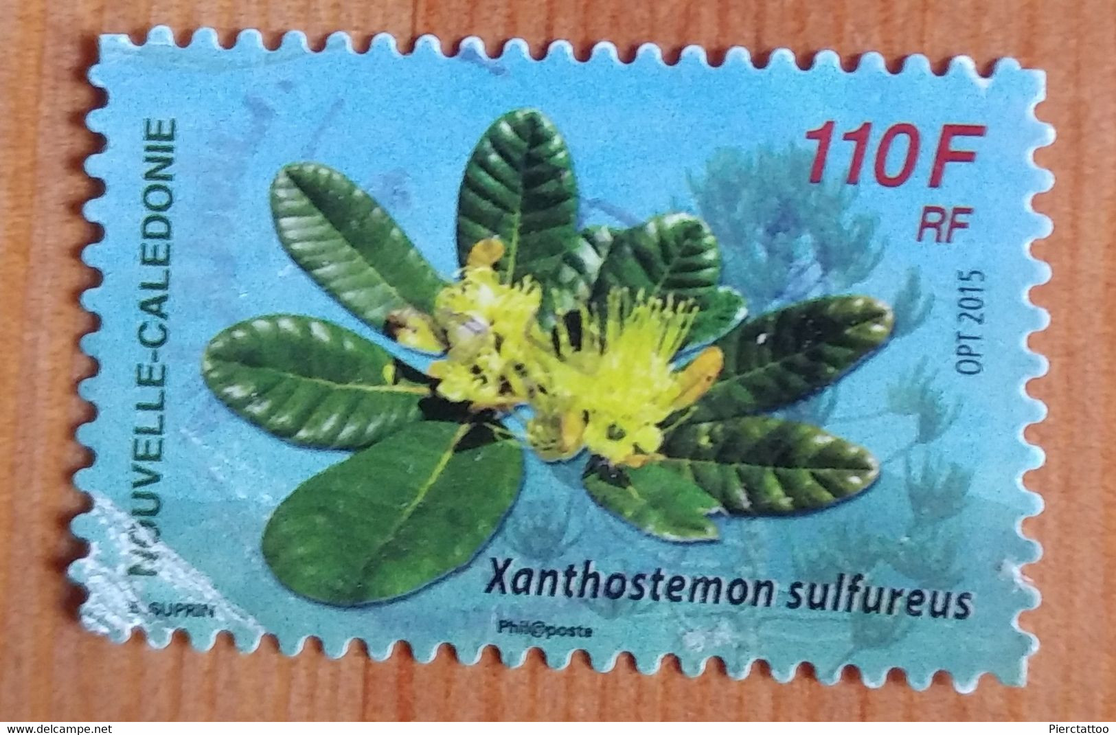 Xanthostemon Sulfureus (Fleur) - Nouvelle Calédonie - 2015 - YT 1256 - Used Stamps