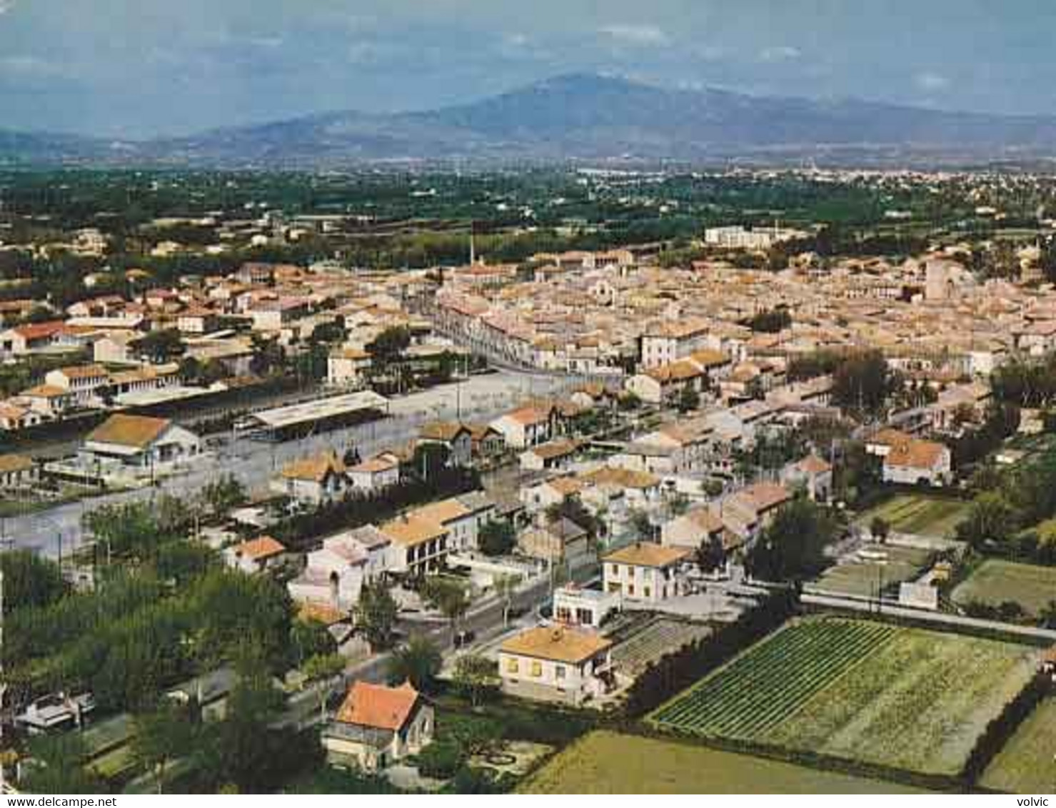 84 - MONTEUX  - Vue Générale Aérienne Au Fond Le Mont Ventoux   - CPM - Monteux