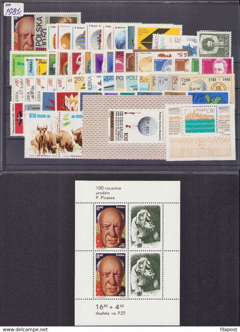 POLAND 1981 Full Year / Polish Cities, Flowers, Wieniawski, Hunting Animals, Ceramics, Picasso Art MNH ** - Années Complètes