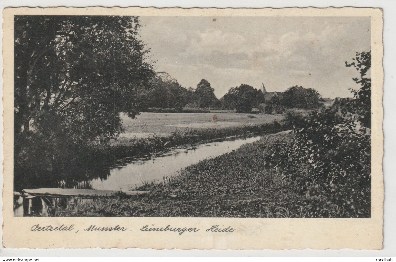 Lüneburger Heide - Lüneburger Heide