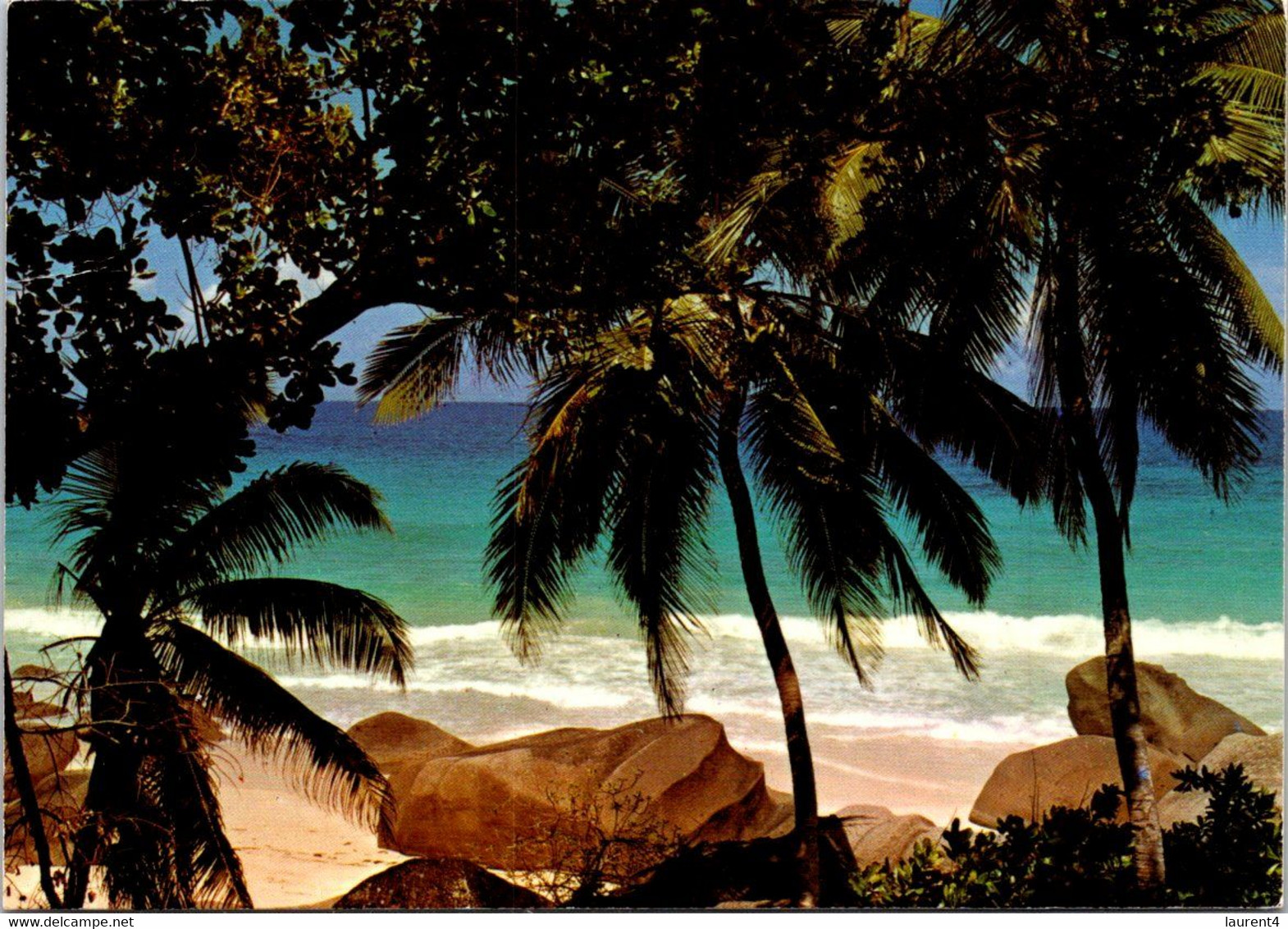 (2 B 6) Australia - QLD - Cape Tribulation (with Flower Stamp) - Far North Queensland