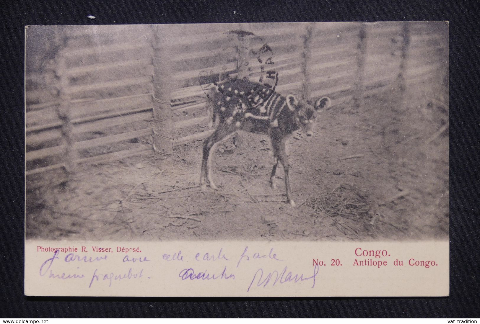 CONGO BELGE - Affranchissement De Matadi Sur Carte Postale (Antilope)  Pour La France En 1910 - L 110029 - Storia Postale