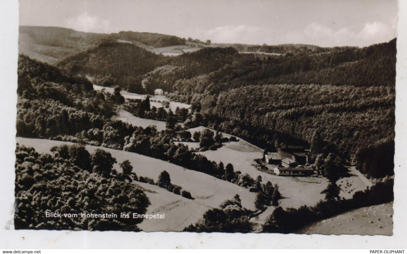 5828 ENNEPETAL, Blick Vom Hohenstein In Das Ennepetal, 1964 - Ennepetal