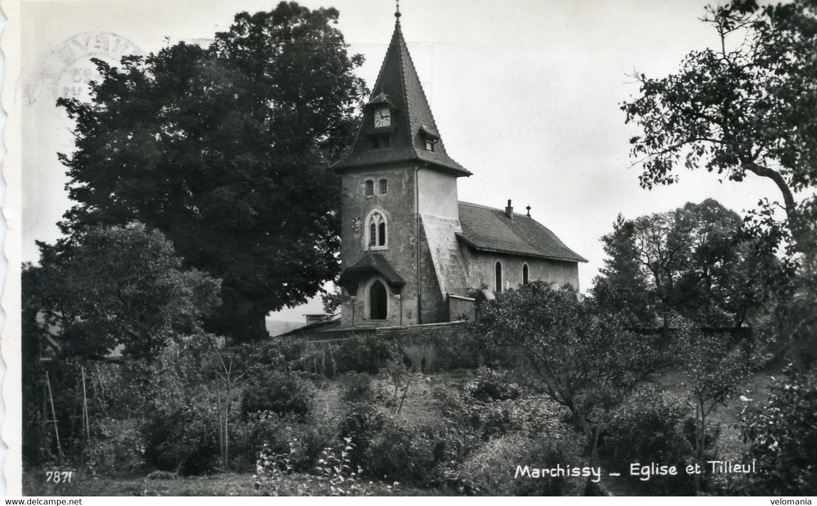 9076 Cpsm Suisse - Marchissy - Eglise Et Tilleul - Marchissy