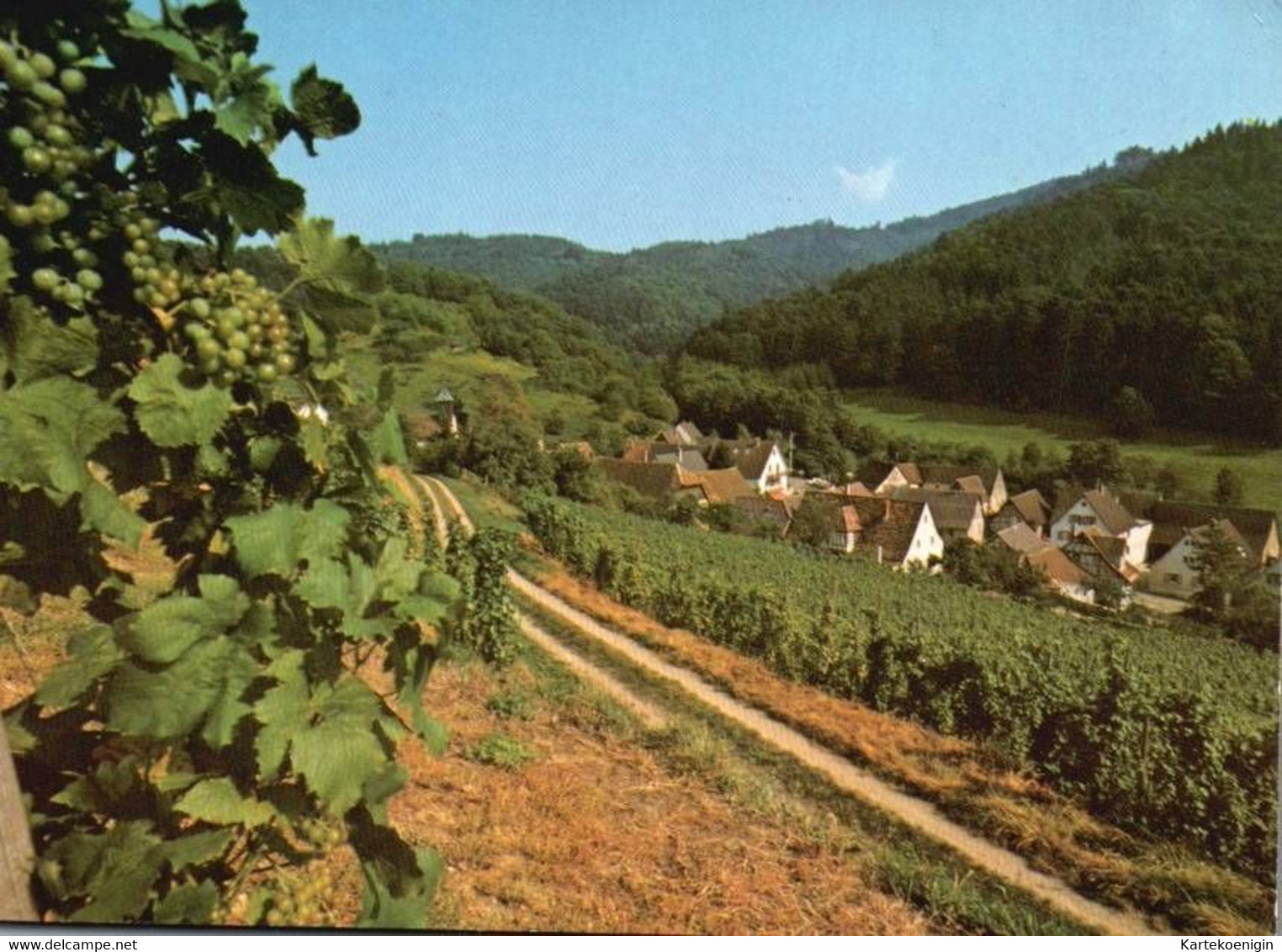 AK - Britzingen , Wein Und Erholungsort - Mühlheim