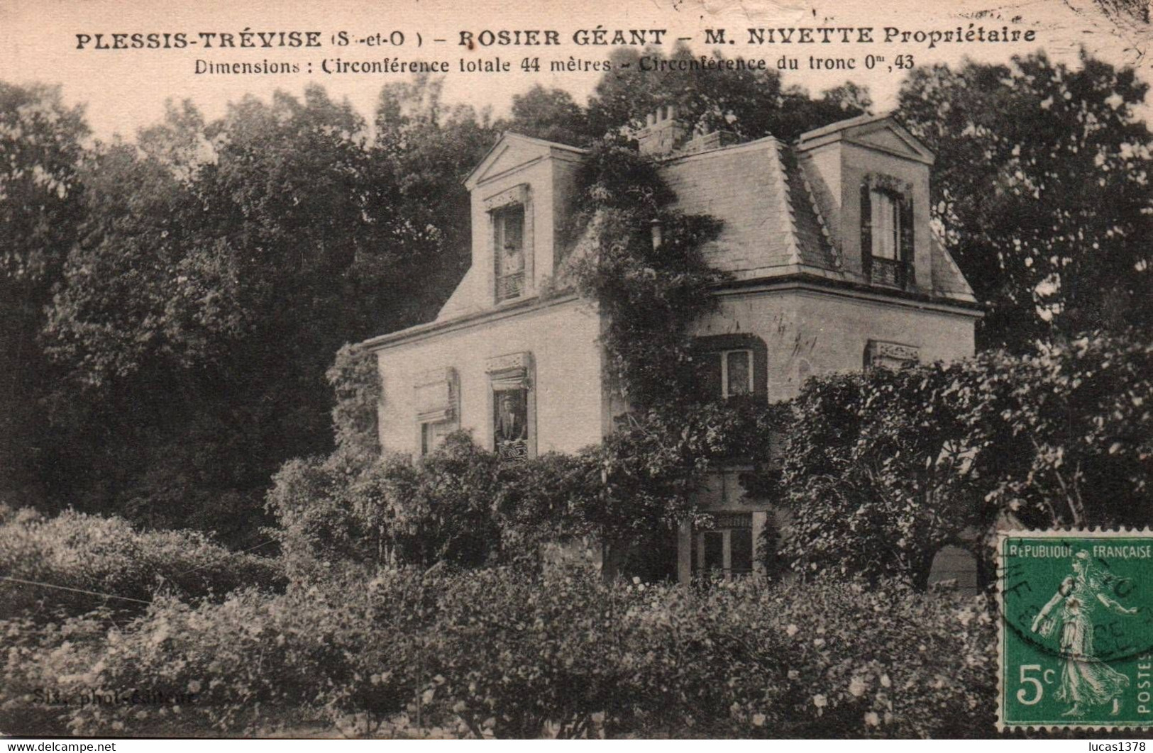 94 / LE PLESSIS TREVISE ROSIER GEANT M.NIVETTE PROPRIETAIRE - Le Plessis Trevise