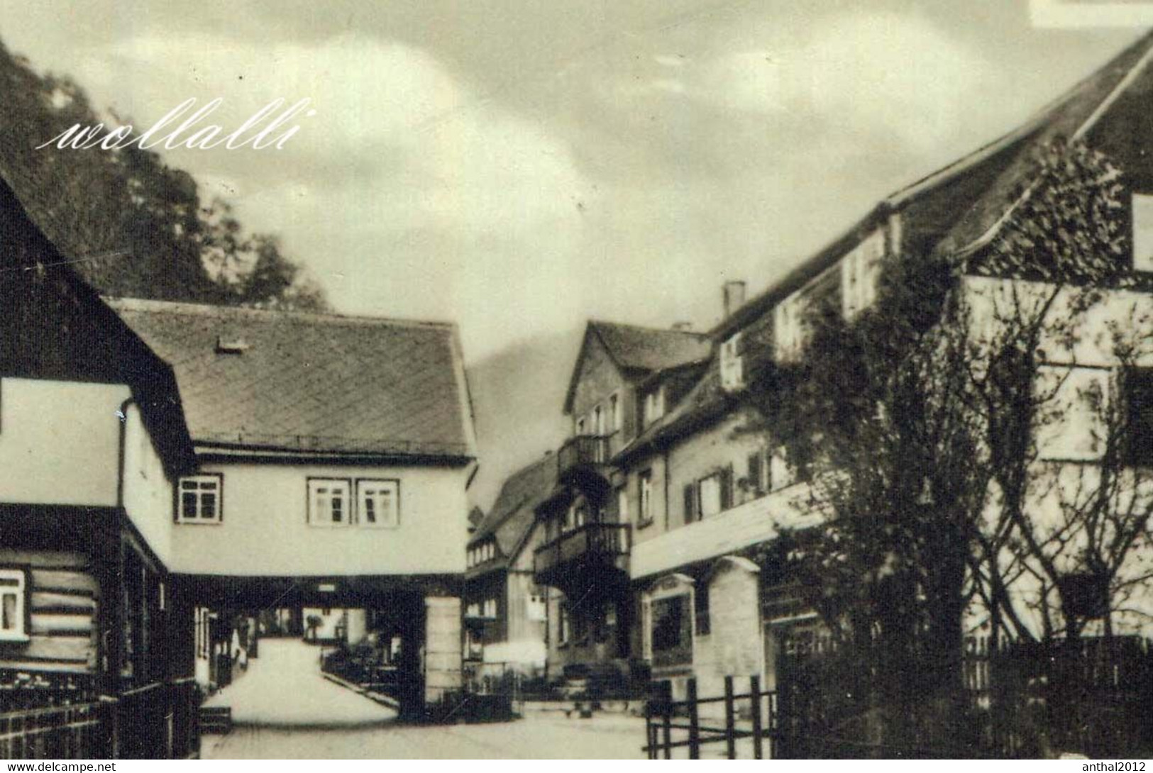 Super-Rarität MB Schmilka Dorfstraße Lebensmittelgeschäft Gasthaus Zur Mühle Elb-Dampfer Sw 1966 - Schmilka