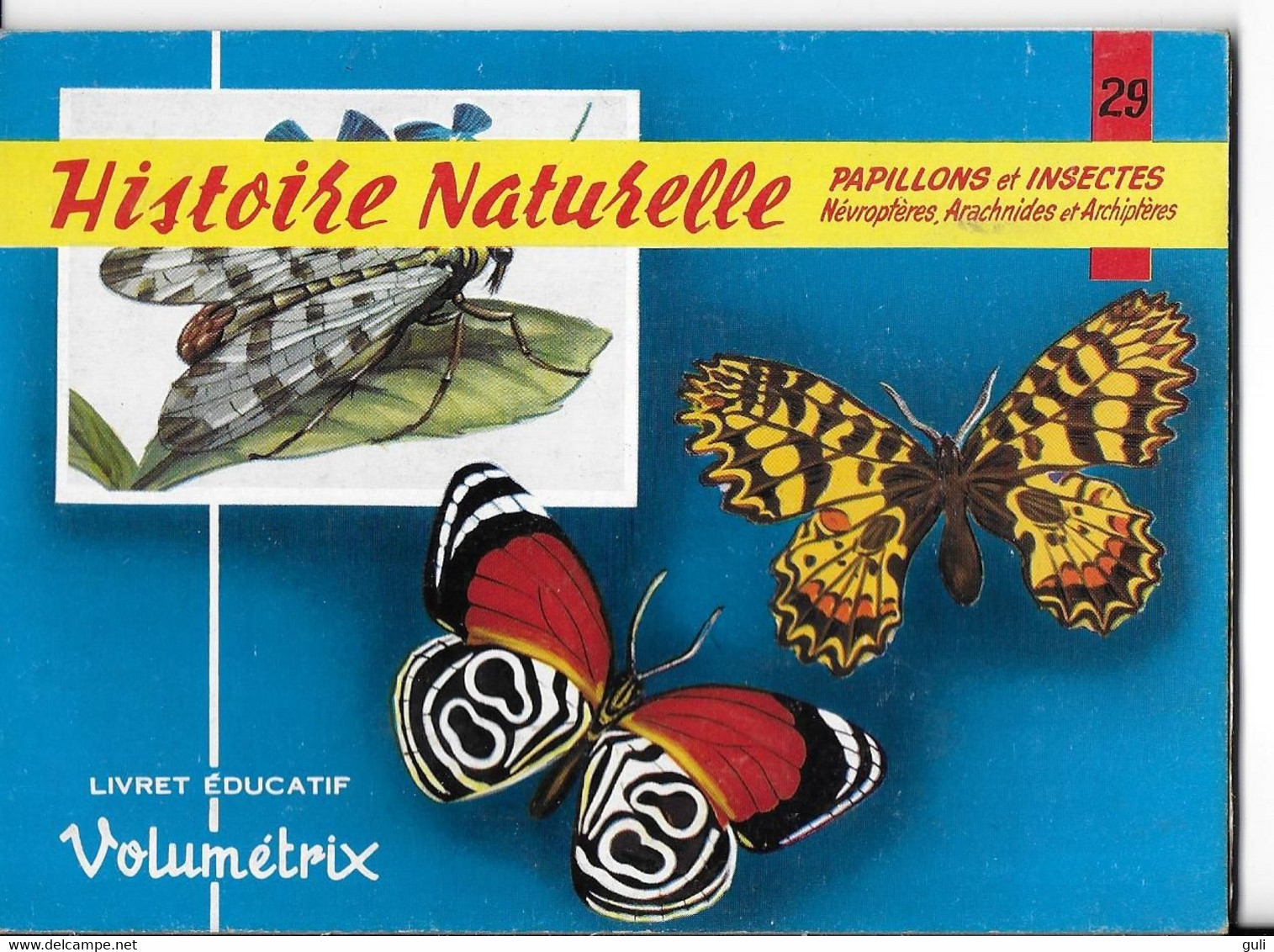 Fiches Didactiques Livret Educatif VOLUMETRIX N°29 Histoire Naturelle Papilons Et Insectes Névroptères Arachnides Et ... - Schede Didattiche